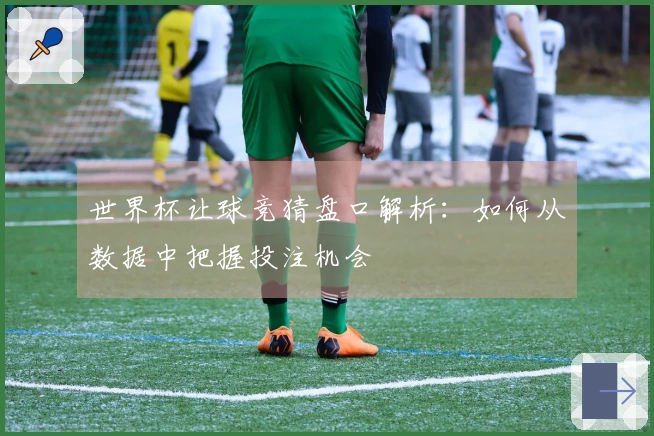 世界杯让球竞猜盘口解析：如何从数据中把握投注机会