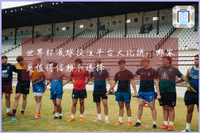 世界杯滚球投注平台大比拼，哪家更值得信赖和选择
