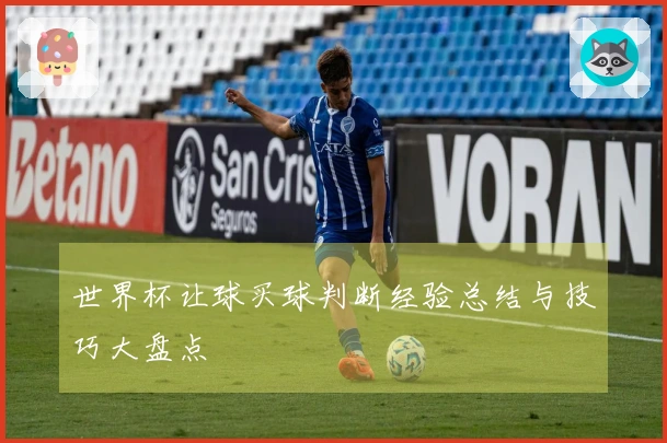 世界杯让球买球判断经验总结与技巧大盘点
