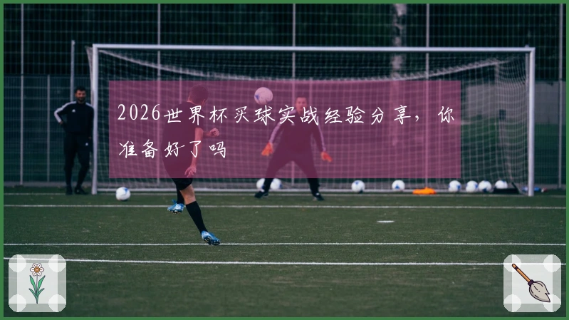 2026世界杯买球实战经验分享，你准备好了吗